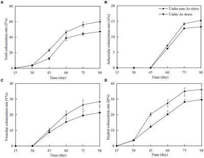 Transcriptome analysis of Gossypium reveals the molecular mechanisms of Ca2+ signaling pathway on arsenic tolerance induced by arbuscular mycorrhizal fungi